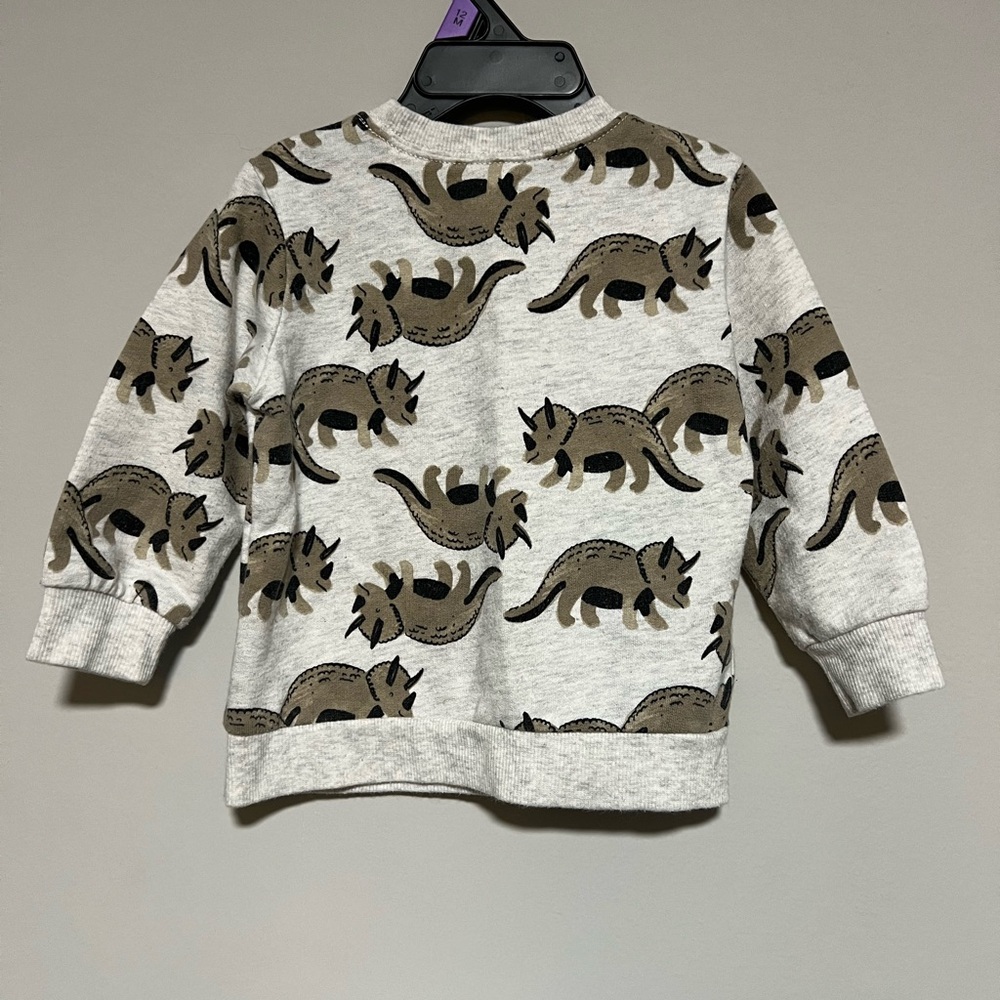 Carter's Size 18 Months Gray Brown Dinosaur Pull Over Long Sleeve Sweatshirt - Picture 5 of 7